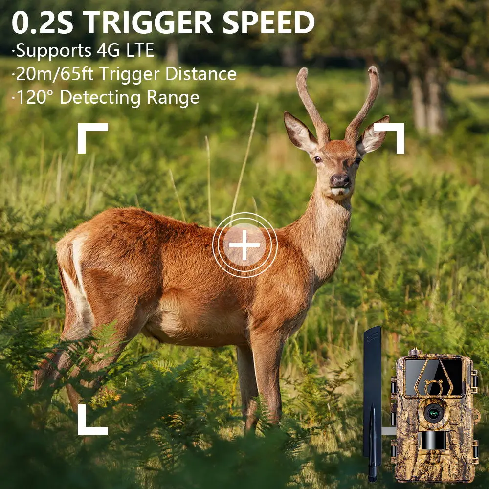 1Pcs HD8K Infrared Camera For  - Hunting Outdoor Camera 评论和价格