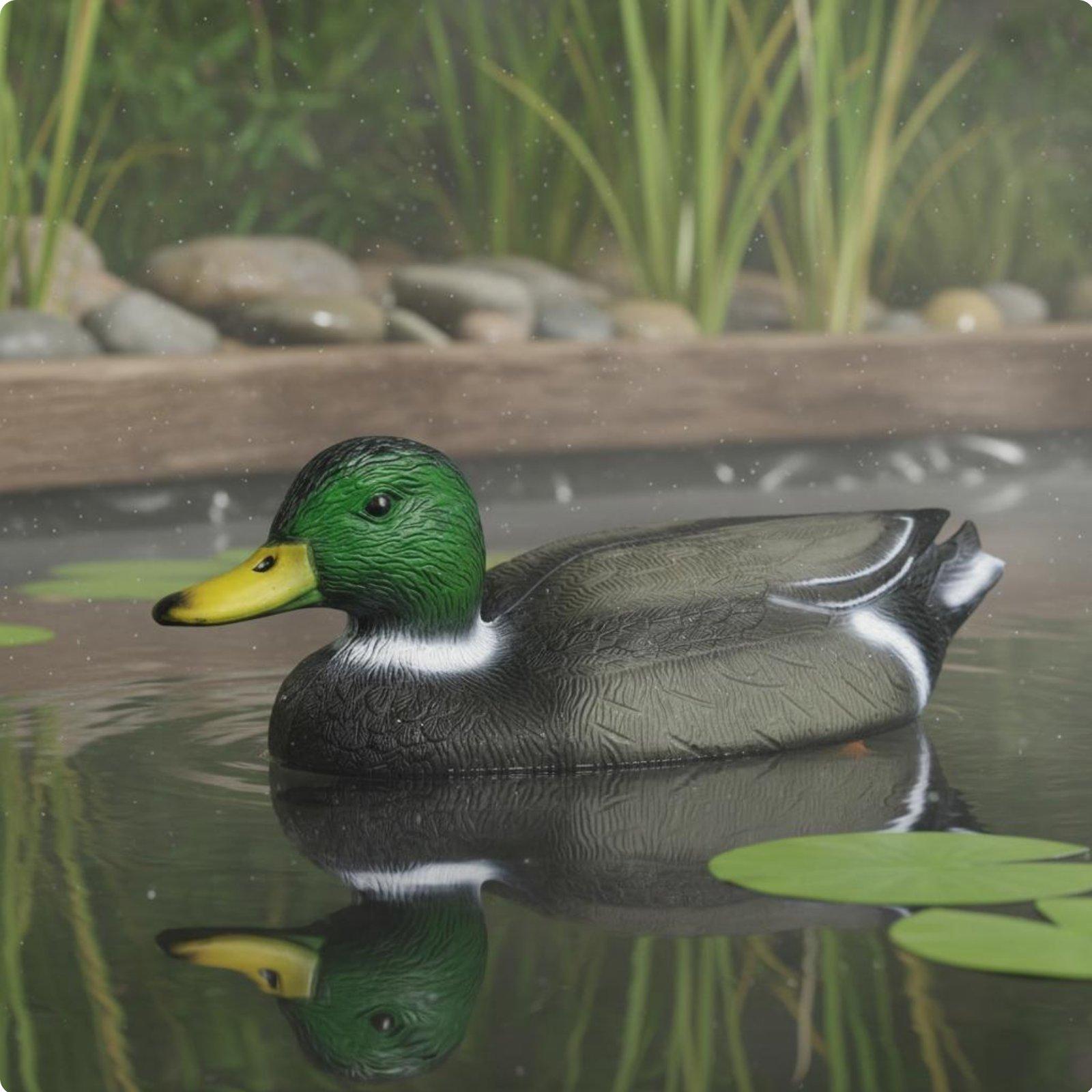 Floating Duck Decoy Realistic  - Hunting & Outdoor Supplies Photos 评论和价格