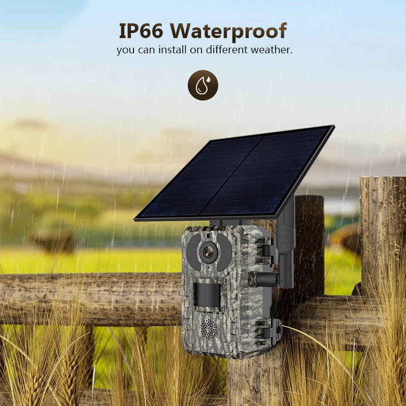 4G 4MP Outdoor Wildlife Huntin - Hunting Outdoor Camera 评论和价格