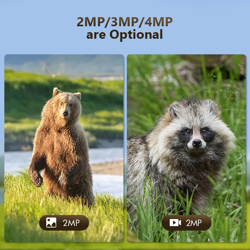 4G 4MP Outdoor Wildlife Huntin - Hunting Outdoor Camera 评论和价格