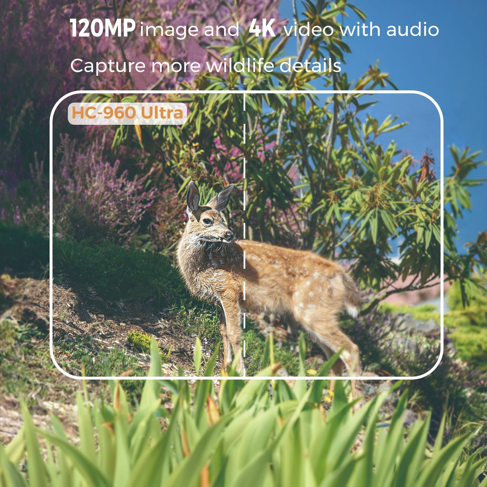 4G outdoor wildlife infrared c - Hunting Outdoor Camera 评论和价格